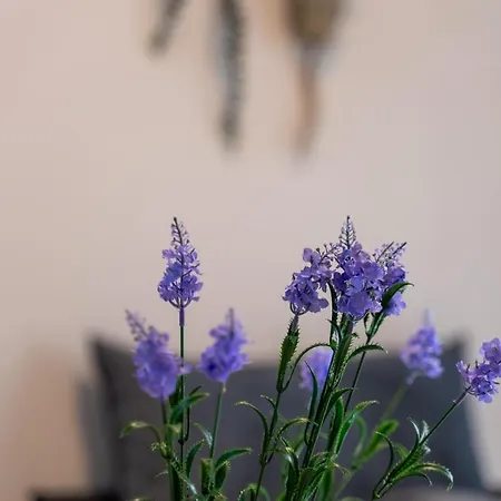 Blossom Apartment *