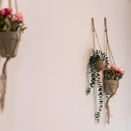 Blossom Кавала