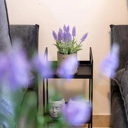 Blossom Apartment